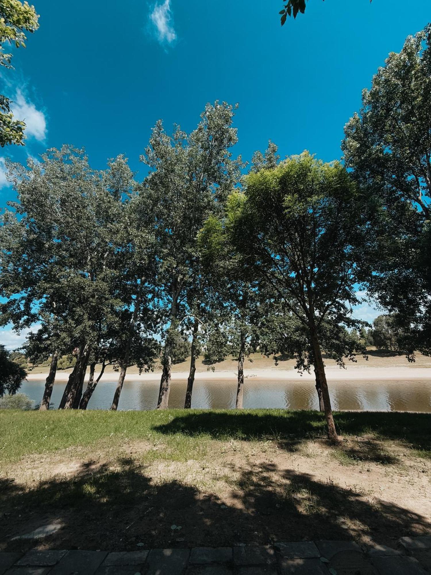 Sobri Halászcsárda és Panzió Baja Extérieur photo