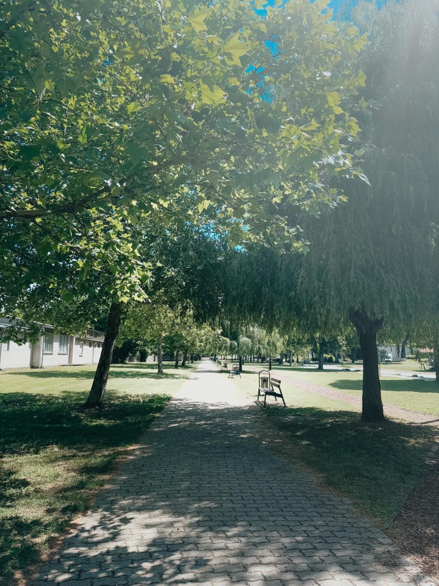 Sobri Halászcsárda és Panzió Baja Extérieur photo